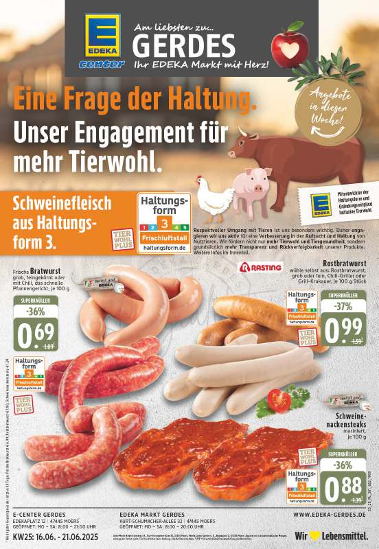 Aktuelle Angebote