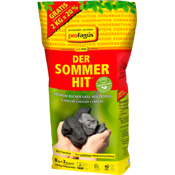 Grillholzkohle oder -Briketts