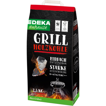 Grill Holzkohle oder Briketts