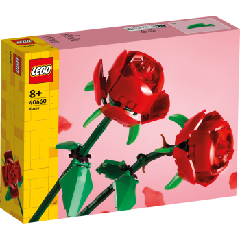 Rosen „40460“