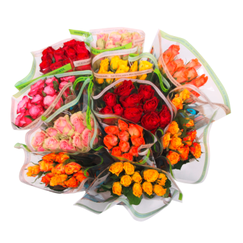 Edelrosen
