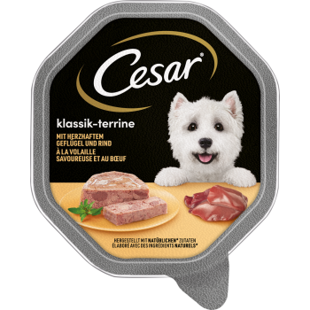 Cesar Hundenahrung