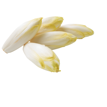 Chicorée