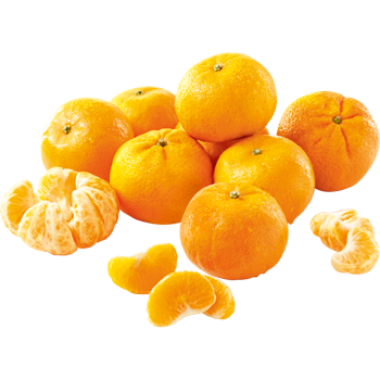 Spanien - Mandarinen