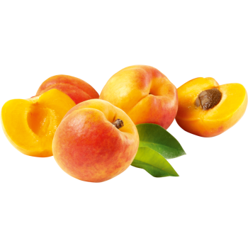 Aprikosen