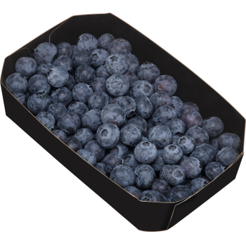 Spanien - Bio-Kulturheidelbeeren