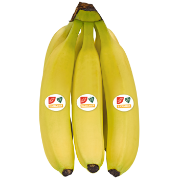 GUT & GÜNSTIG - Bananen
