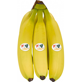 GUT & GÜNSTIG - Bananen