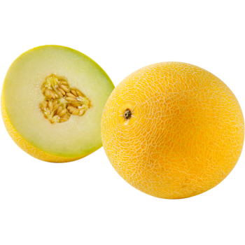 Galia-, Cantaloupe-, oder Honigmelone