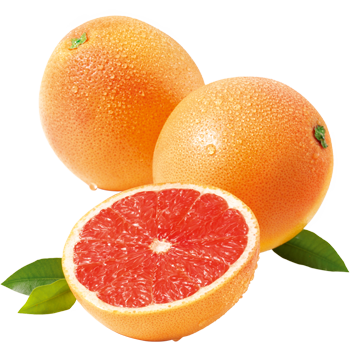 Südafrika - OUTSPAN - Grapefruit