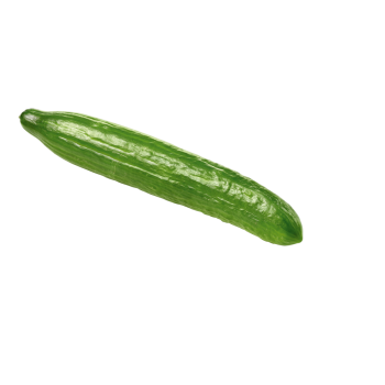 Bio-Salatgurke