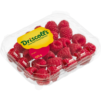Marokko - Driscolls - Himbeeren oder Brombeeren