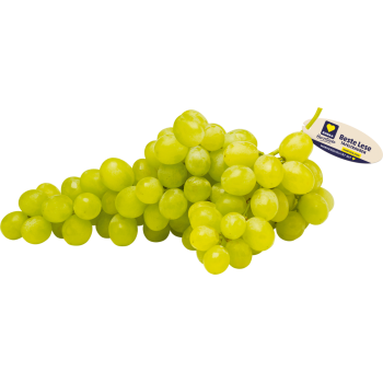 Tafeltrauben