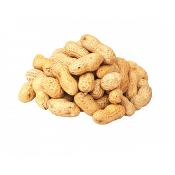 Ägypten - Erdnüsse