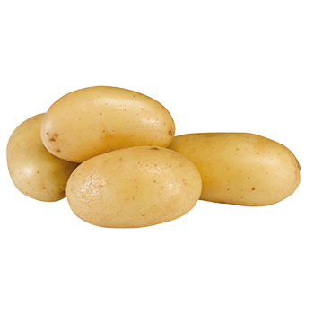 Ägypten - Frühkartoffeln