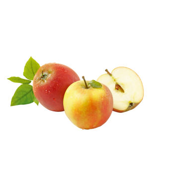 Deutchland - Tafeläpfel