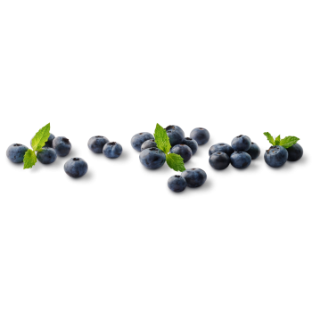 Polen - EDEKA Bio - Kulturheidelbeeren