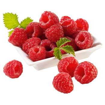 meinLand - Himbeeren oder Brombeeren