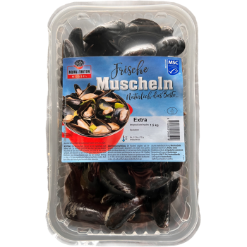 Miesmuscheln