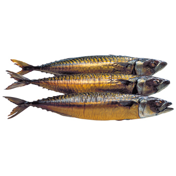 Geräucherte Makrele