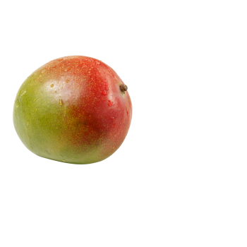 Senegal - GUT & GÜNSTIG - Mangos