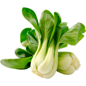 Mini-Pak-Choi