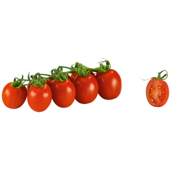 Bio Mini Pflaumen Tomaten