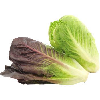 Mini-Romanasalat-Mix