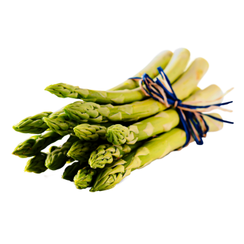 Spanien - Bio-Spargel