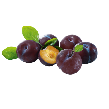 Spanien - Demeter - Bio-Pflaumen