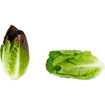 Mini-Romanasalat