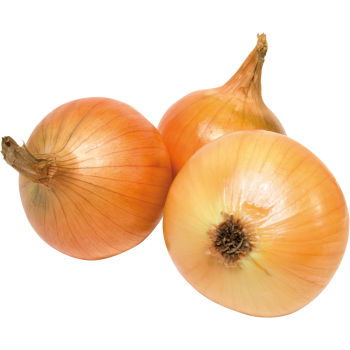 Bio-Zwiebeln