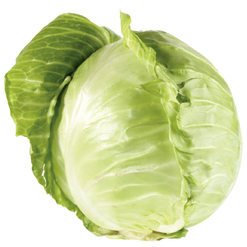 Deutschland - meinLand - Weiß-, Rotkohl
